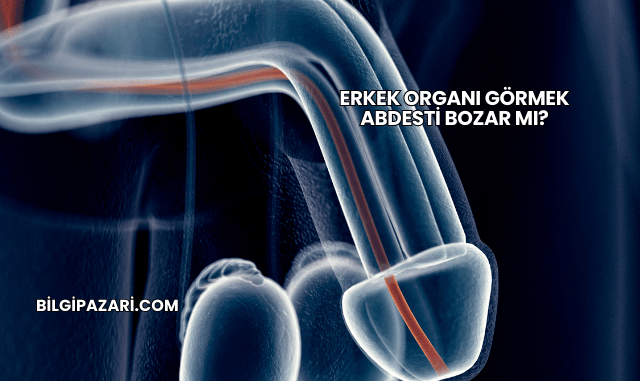 Erkek Organı Görmek Abdesti Bozar mı?