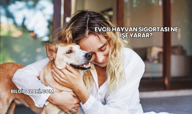Evcil Hayvan Sigortası Ne İşe Yarar?