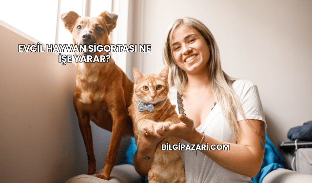 Evcil Hayvan Sigortası Ne İşe Yarar?