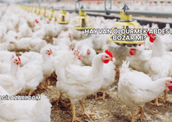 Hayvan Öldürmek Abdesti Bozar mı?