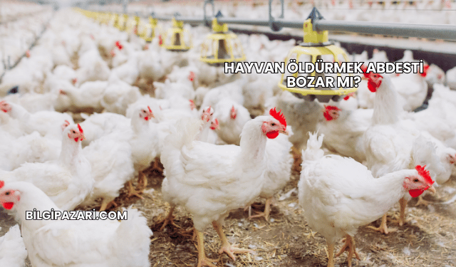 Hayvan Öldürmek Abdesti Bozar mı?