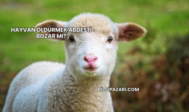 Hayvan Öldürmek Abdesti Bozar mı?