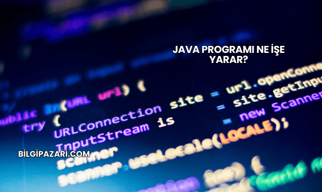 Java Programı Ne İşe Yarar?