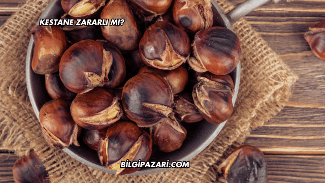 Kestane Zararlı mı?