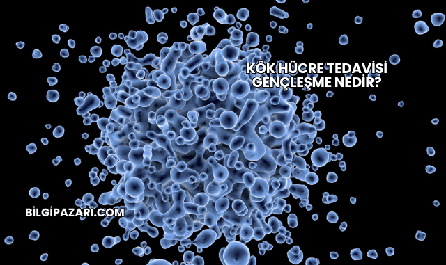 Kök Hücre Tedavisi Gençleşme Nedir?