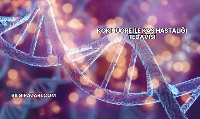 Kök Hücre ile Kas Hastalığı Tedavisi