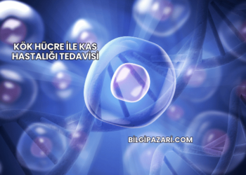 Kök Hücre ile Kas Hastalığı Tedavisi