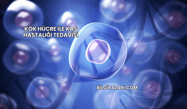 Kök Hücre ile Kas Hastalığı Tedavisi