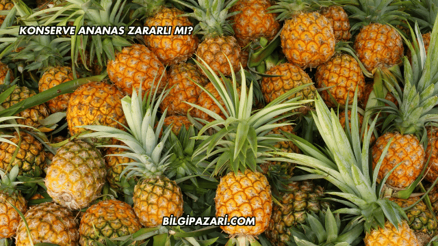 Konserve Ananas Zararlı mı?