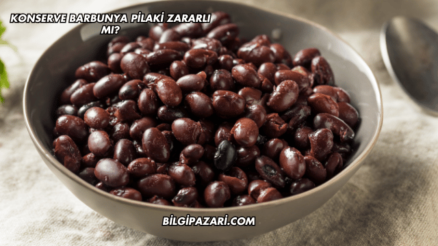 Konserve Barbunya Pilaki Zararlı mı?