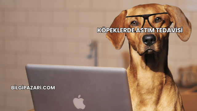 Köpeklerde Astım Tedavisi