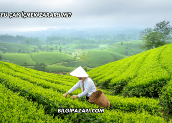 Koyu Çay İçmek Zararlı mı?