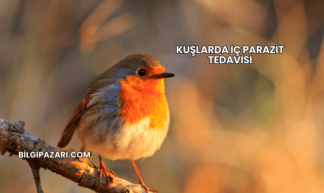 Kuşlarda İç Parazit Tedavisi