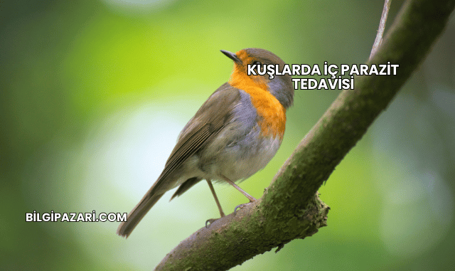 Kuşlarda İç Parazit Tedavisi