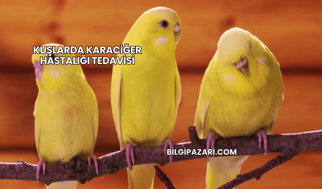 Kuşlarda Karaciğer Hastalığı Tedavisi