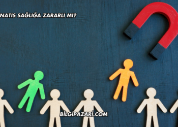 Mıknatıs Sağlığa Zararlı mı?