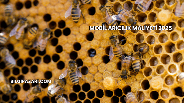 Mobil Arıcılık Maliyeti 2025