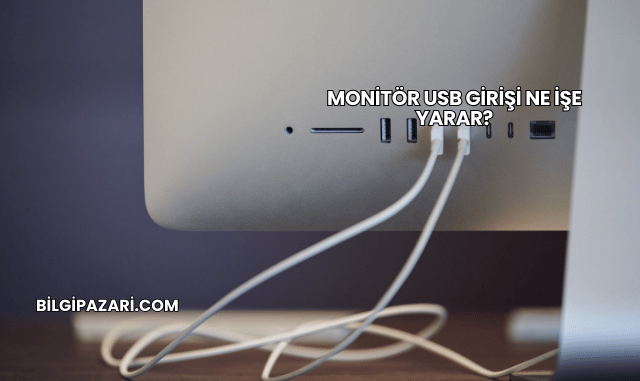 Monitör USB Girişi Ne İşe Yarar?