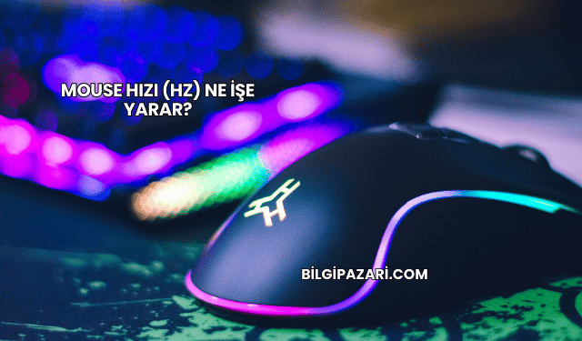 Mouse Hızı (Hz) Ne İşe Yarar?