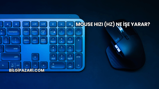 Mouse Hızı (Hz) Ne İşe Yarar?