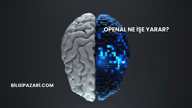OpenAL Ne İşe Yarar?