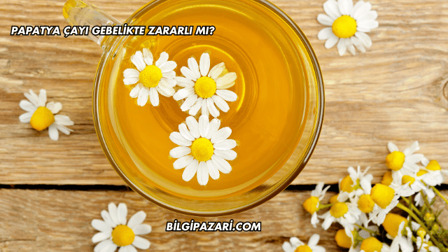 Papatya Çayı Gebelikte Zararlı mı?