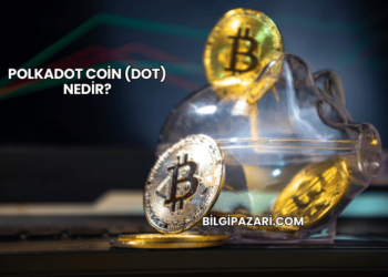 Polkadot Coin (DOT) Nedir?