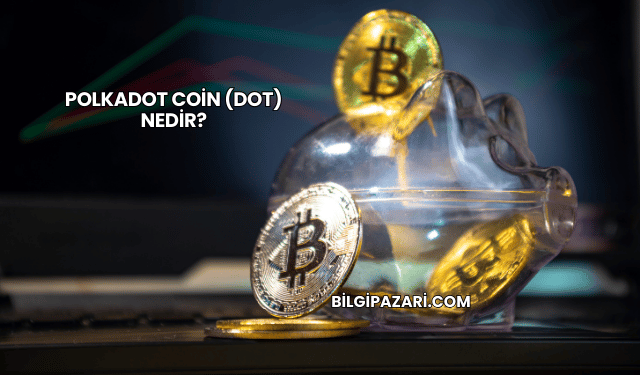 Polkadot Coin (DOT) Nedir?