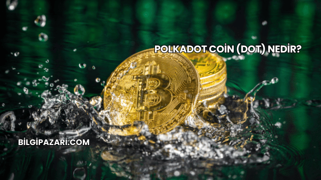 Polkadot Coin (DOT) Nedir?
