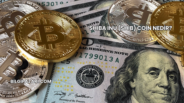 Shiba Inu (SHIB) Coin Nedir?