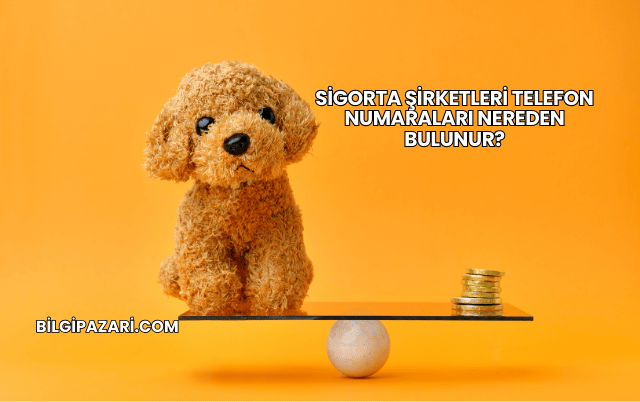 Sigorta Şirketleri Telefon Numaraları Nereden Bulunur?