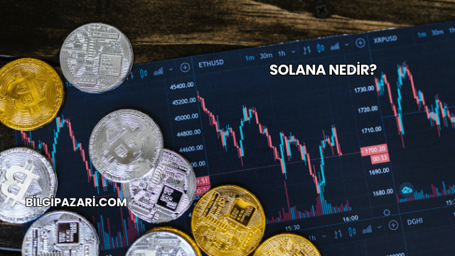 Solana Nedir?