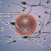 Sperm Akıtmak Orucu Bozar mı?