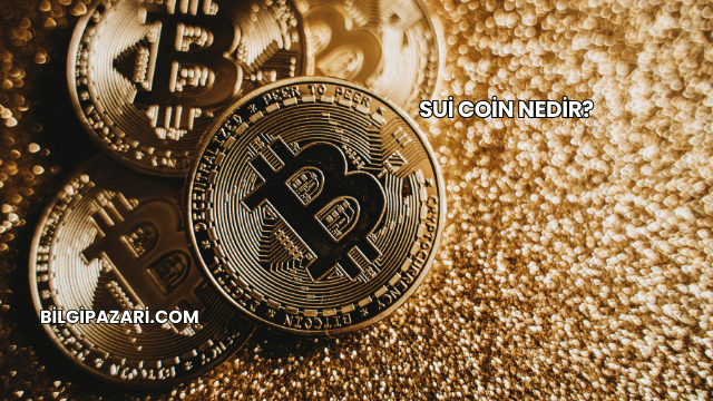 Sui Coin Nedir?