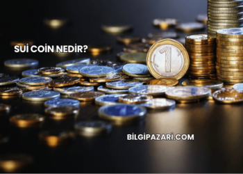 Sui Coin Nedir?