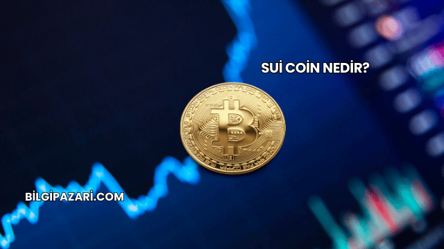 Sui Coin Nedir?