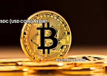 USDC (USD Coin) Nedir?