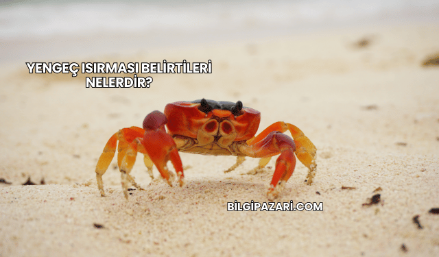 Yengeç Isırması Belirtileri Nelerdir?
