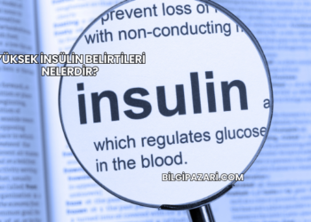 Yüksek İnsülin Belirtileri Nelerdir?
