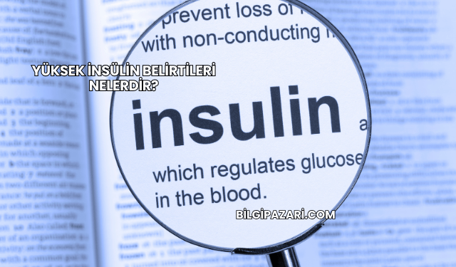 Yüksek İnsülin Belirtileri Nelerdir?