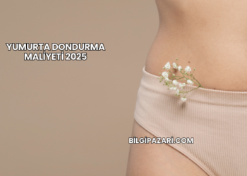 Yumurta Dondurma Maliyeti 2025