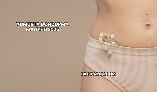Yumurta Dondurma Maliyeti 2025