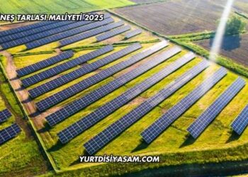 Güneş Tarlası Maliyeti 2025