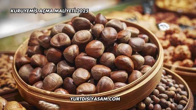 Kuruyemiş Açma Maliyeti 2025