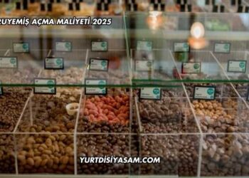 Kuruyemiş Açma Maliyeti 2025