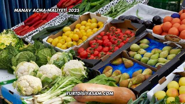 Manav Açma Maliyeti 2025