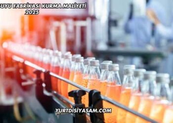 Meyve Suyu Fabrikası Kurma Maliyeti 2025
