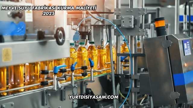 Meyve Suyu Fabrikası Kurma Maliyeti 2025