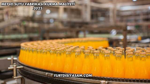 Meyve Suyu Fabrikası Kurma Maliyeti 2025