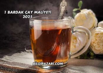 1 Bardak Çay Maliyeti 2025